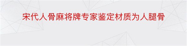 宋代人骨麻将牌专家鉴定材质为人腿骨