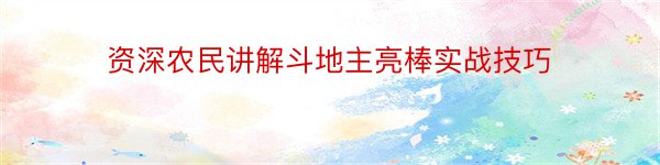 资深农民讲解斗地主亮棒实战技巧