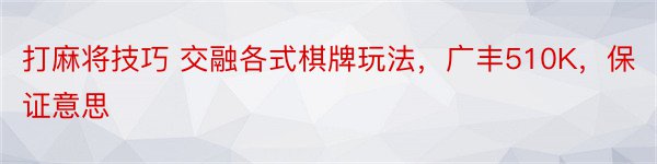 打麻将技巧 交融各式棋牌玩法，广丰510K，保证意思