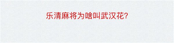 乐清麻将为啥叫武汉花？