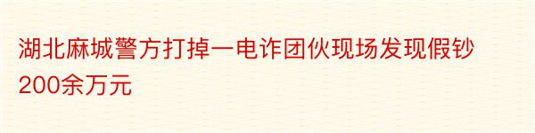 湖北麻城警方打掉一电诈团伙现场发现假钞200余万元