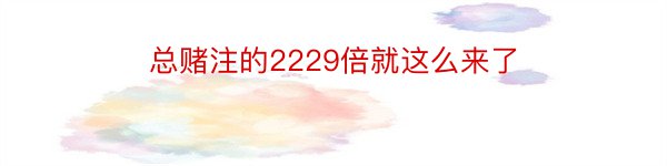 总赌注的2229倍就这么来了